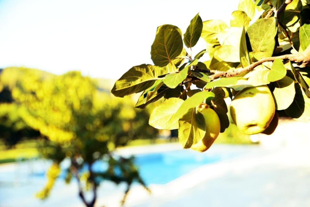 Pir Efes Konaklari İzmir Luaran gambar