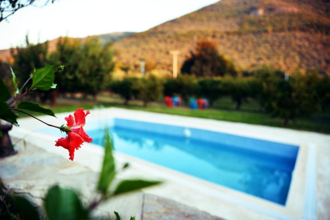 Pir Efes Konaklari İzmir Luaran gambar
