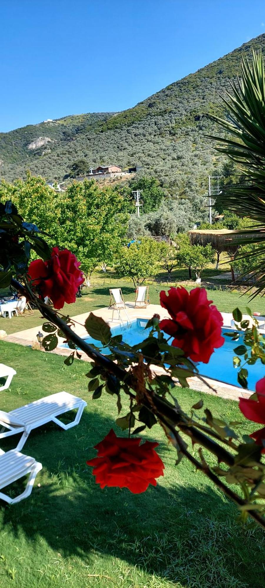 Pir Efes Konaklari İzmir Luaran gambar