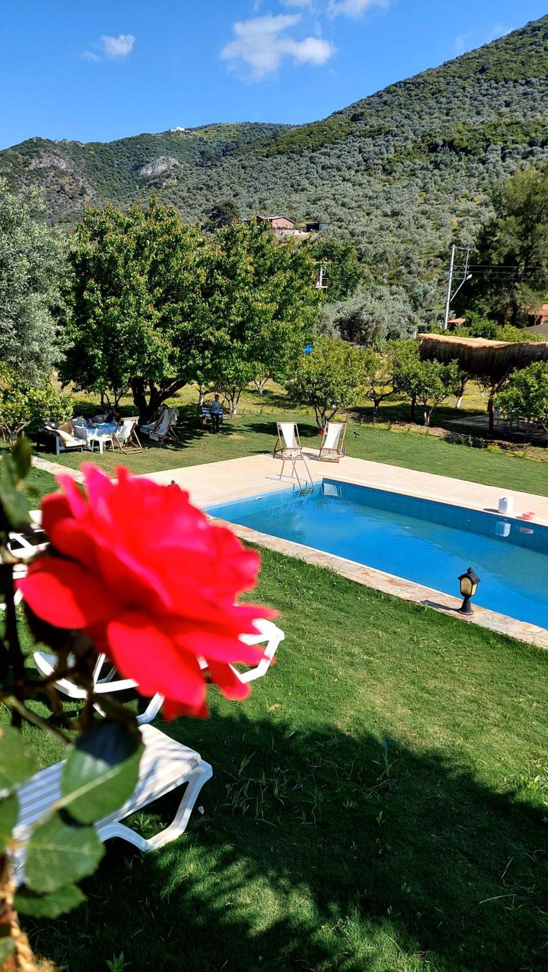 Pir Efes Konaklari İzmir Luaran gambar